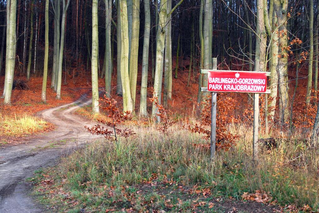 Bed and Breakfast Bukowa Przystań Barlinek Zewnętrze zdjęcie